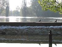 2006.04.24. - 1004 cm - 20.jpg